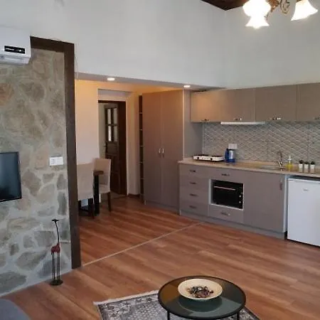 Holiday home Kaktus Tatil Evleri *